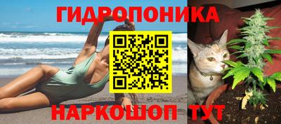 прущие крисы Балаково