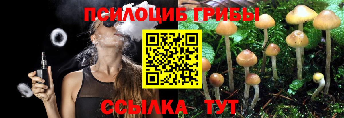 Галлюциногенные грибы прущие грибы  Псилоцибиновые грибы прущие грибы  Вход с VPN  цена   Димитровград 
